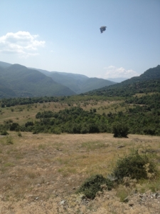 IMG_2275 (640x480)